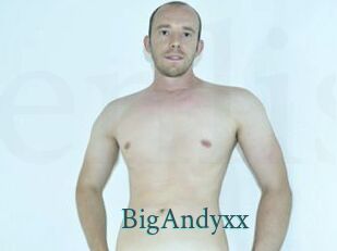 BigAndyxx