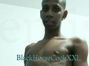 BlackHorseCockXXL