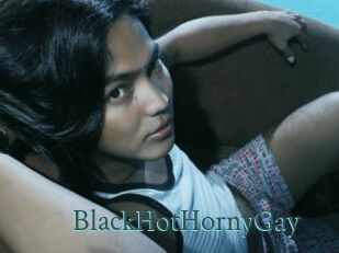 BlackHotHornyGay En live show