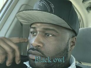 Black_owl