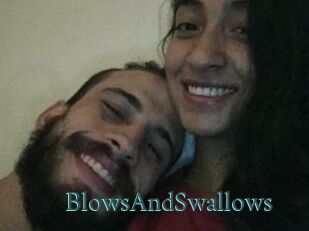 BlowsAndSwallows