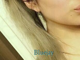 Blue_jay