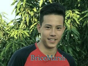 BriceMarsh