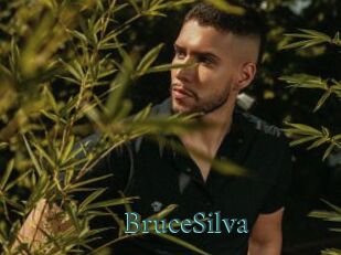 BruceSilva