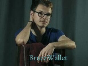 BruceWallet