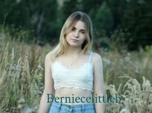 Berniecelittleb