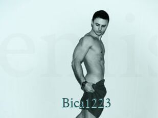 Bica1223