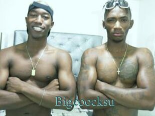 Bigcoocksu