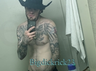 Bigdickrick23