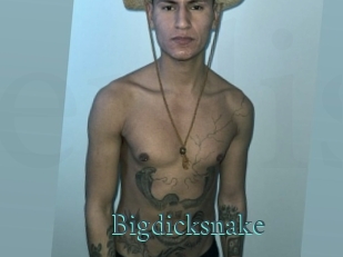 Bigdicksnake
