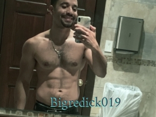 Bigredick019