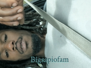Bigsapiofam