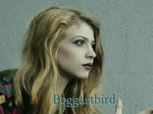 Boggartbird