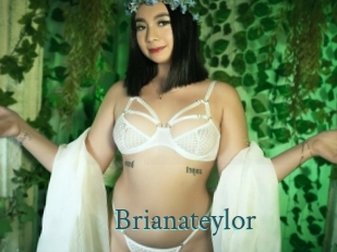 Brianateylor
