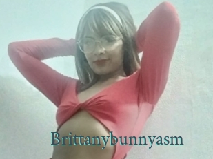 Brittanybunnyasm