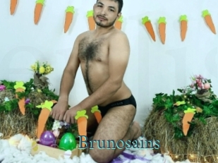 brunosains En live show