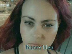 Bunny_bleu