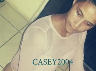 CASEY2004