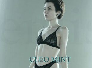 CLEO_MINT