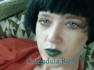 Calendula_Rose