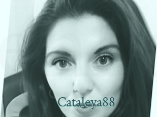 Cataleya88