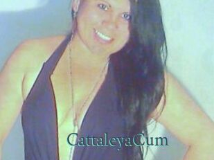 CattaleyaCum