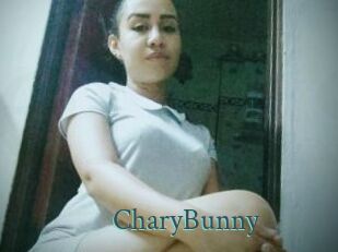 CharyBunny