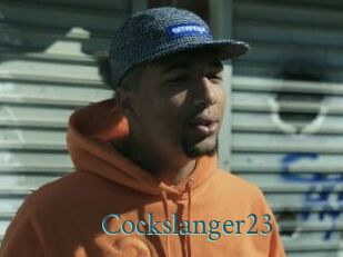Cockslanger23