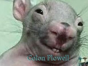 Colon_Plowell