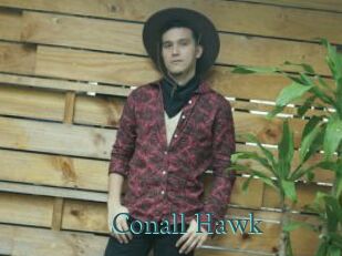 Conall_Hawk
