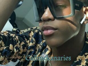 Callmekanaries