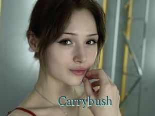 Carrybush