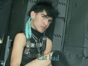 Cat_bad
