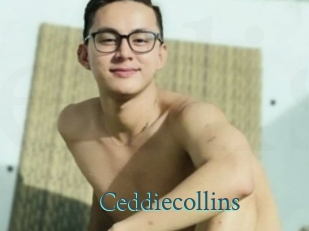 Ceddiecollins