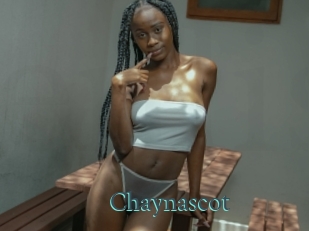 Chaynascot