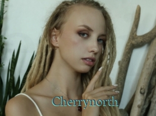cherrynorth En live show
