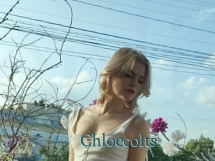 Chloecolts