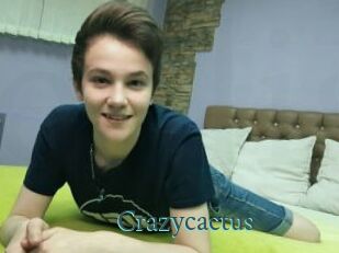 Crazycactus