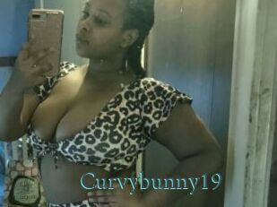 Curvybunny19