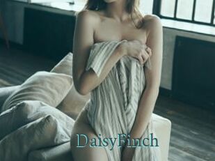DaisyFinch