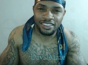David_Maze