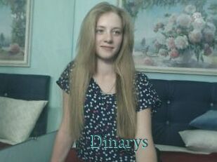Dinarys
