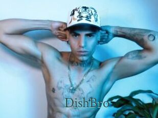 DishBro
