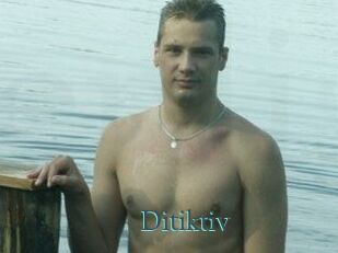 Ditiktiv