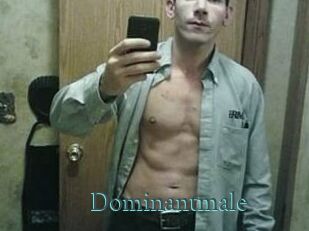 Dominantmale