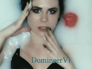 DomineerVi