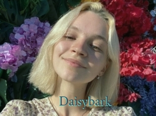 Daisybark