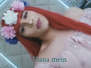 Dana_mein