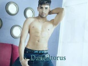 Daneil_torus