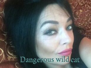 Dangerous_wild_cat